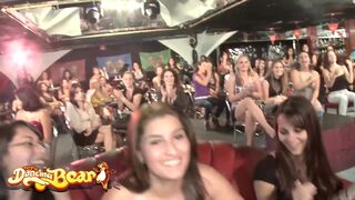 Urşii dansatori - stripteuzele şi femelele fierbinţi se bucură de suptul sculelor mari